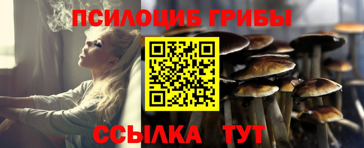 Псилоцибиновые грибы прущие грибы Елизово